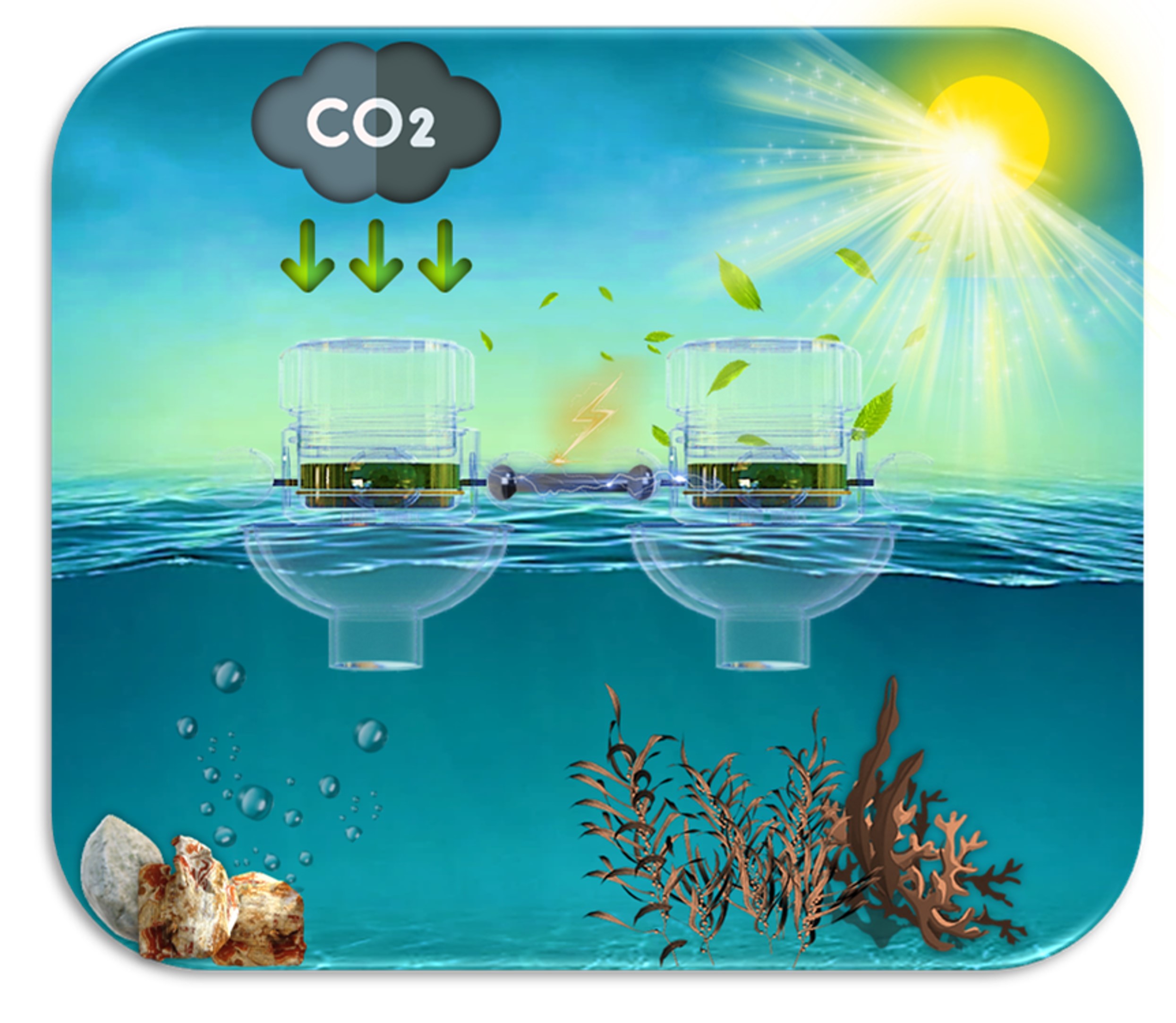 Graphic abstract for buoyant biosolar cell array research